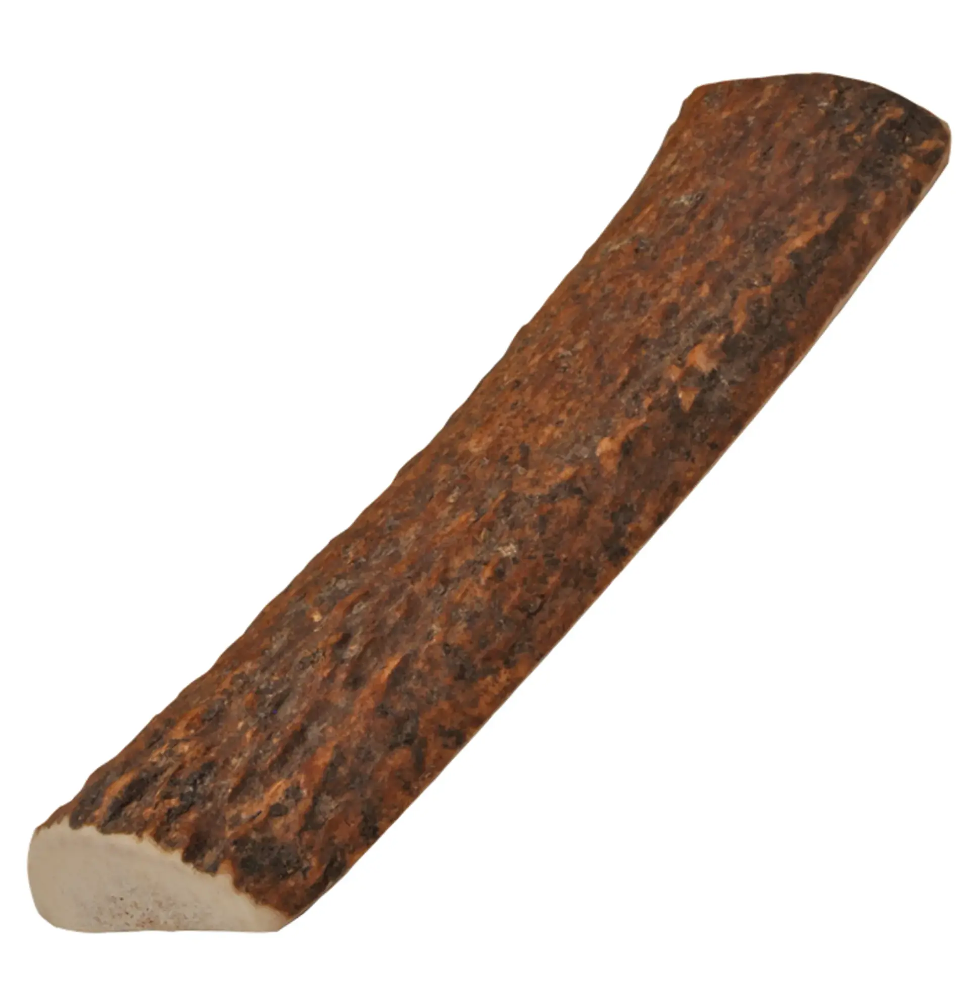splitelkbone.webp